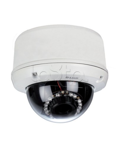 IP-камера видеонаблюдения уличная купольная D-Link DCS-6510/EP в Архангельске IP-камеры Pintop.ru