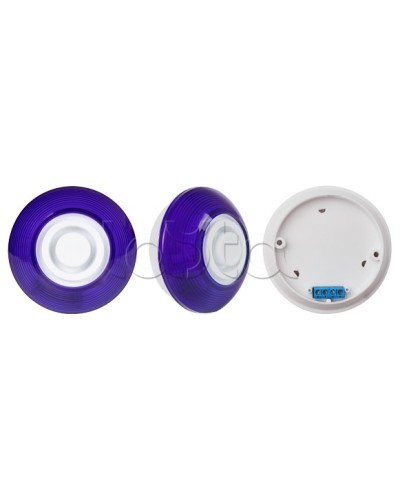 Оповещатель комбинированный SLT Марс 12-КП (строб, син) в Архангельске Оповещатели Pintop.ru